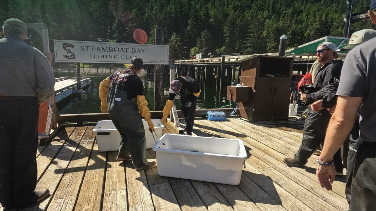 Boxing up the catch