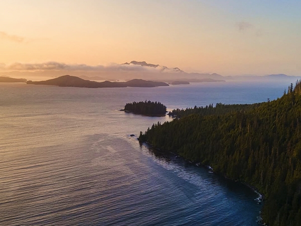 aerial view of the coast