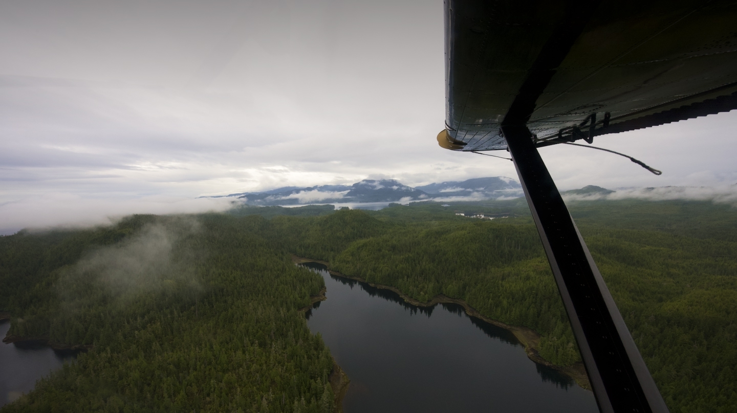 view from the air taxi