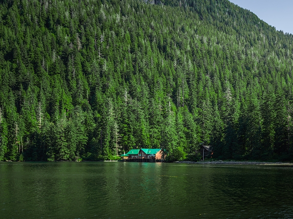 The residence form the bay tucked into the trees