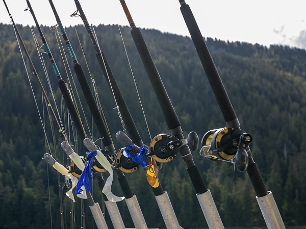 Fishing poles all lined up
