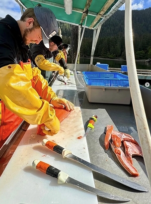 Team cleaning the catch