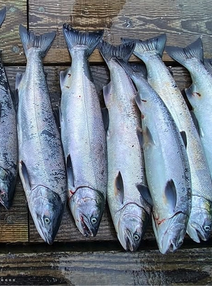The catch all lined up