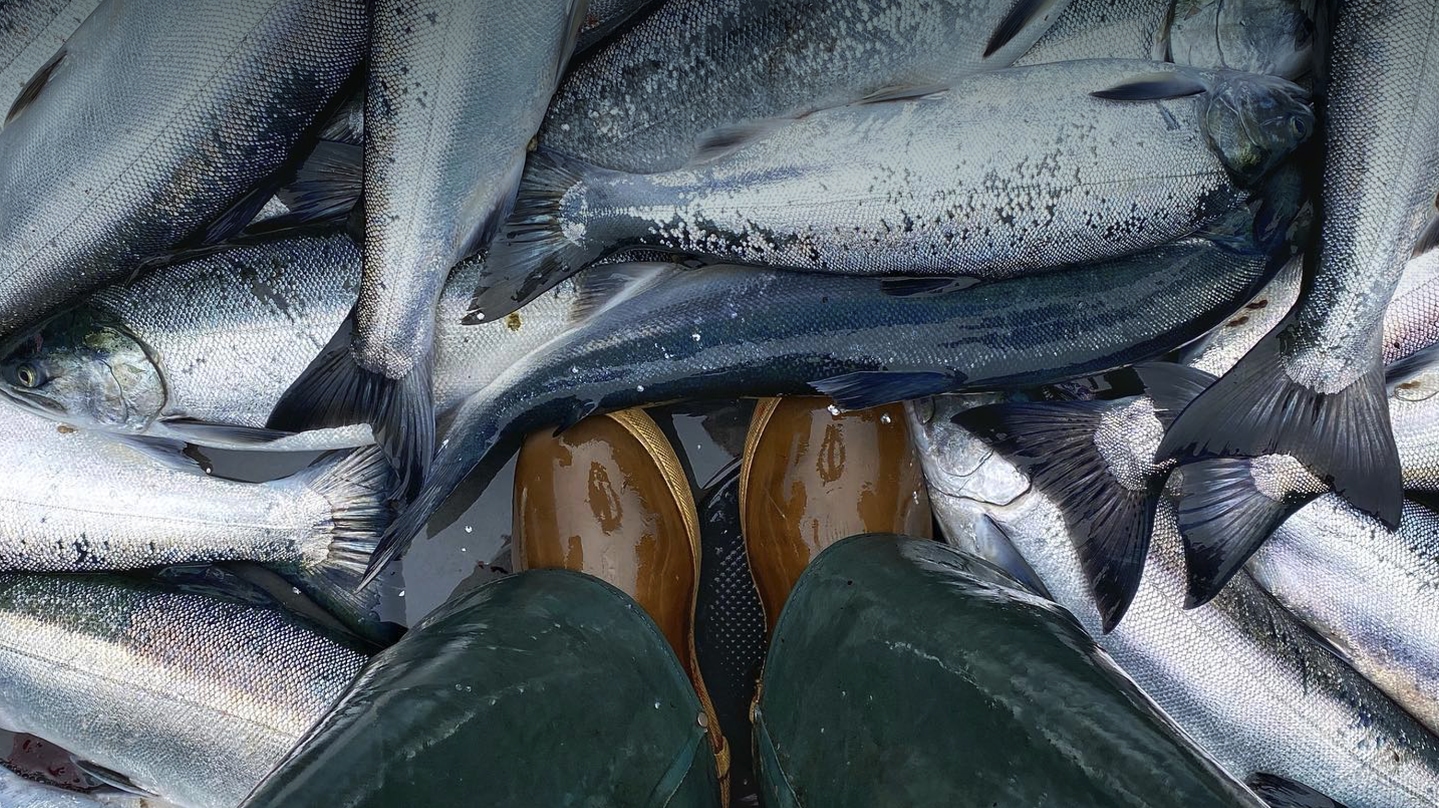 Downward shot of booted feet in a pile of fish