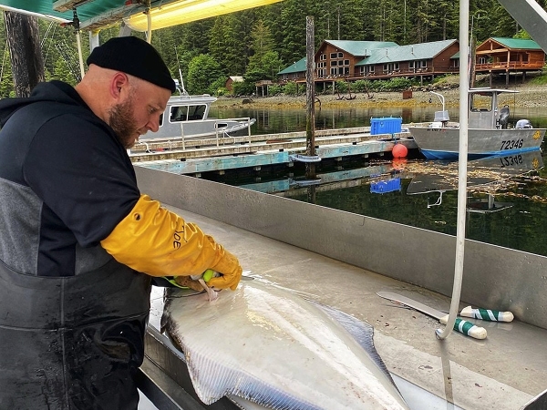 Processing fish
