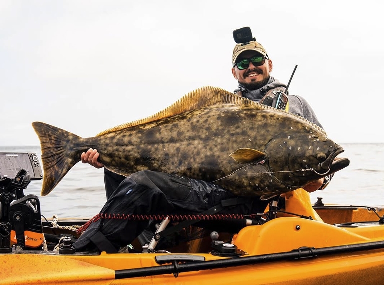 giant Pacific halibut