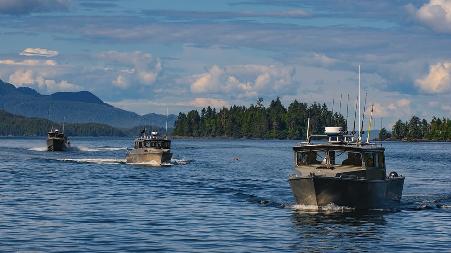 Boats on the bay