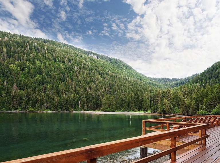 view over dock of water and trees