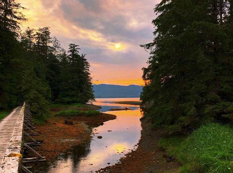 sunset over small inlet between trees